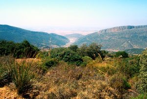 Biotope, Monts de Beni Snassen, Atlas Tellien