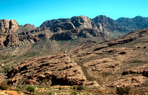 Biotope, Tizi-n-Tarakatine, Anti-Atlas sud-occidental