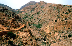 Espace de vol à ssp. harterti, Djebel Lekst, Anti-Atlas sud-occidental