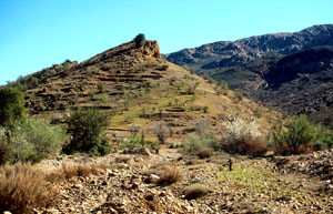 Biotope alluvionnaire de l'Anti-Atlas sud-occidental, région de Tafraoute