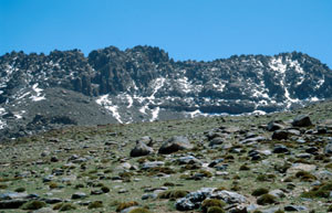Habitat alticole de la ssp. mauretanicus, Djebel Siroua, Anti-Atlas nord-oriental