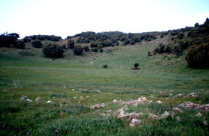 Biotope du Moyen Atlas, Ousmaa