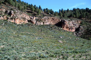 Biotope, Tizi-n-Test, Haut Atlas méridional