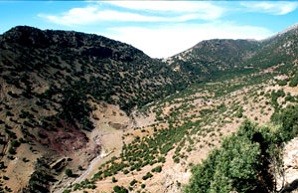 Habitat de la ssp. atlanticus, Tizi-n-Test, Haut Atlas méridional