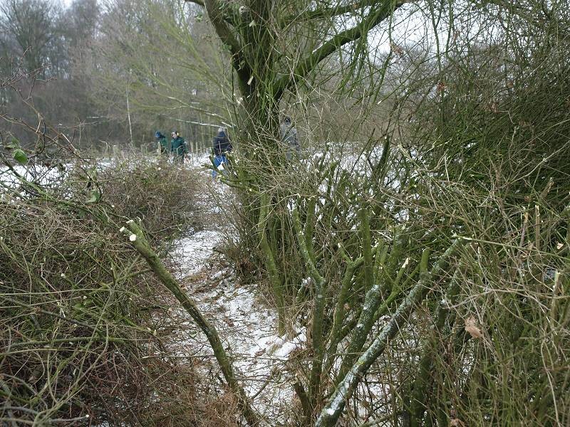 Arbeitseinsatz Bistheide Ii Nabu Monchengladbach
