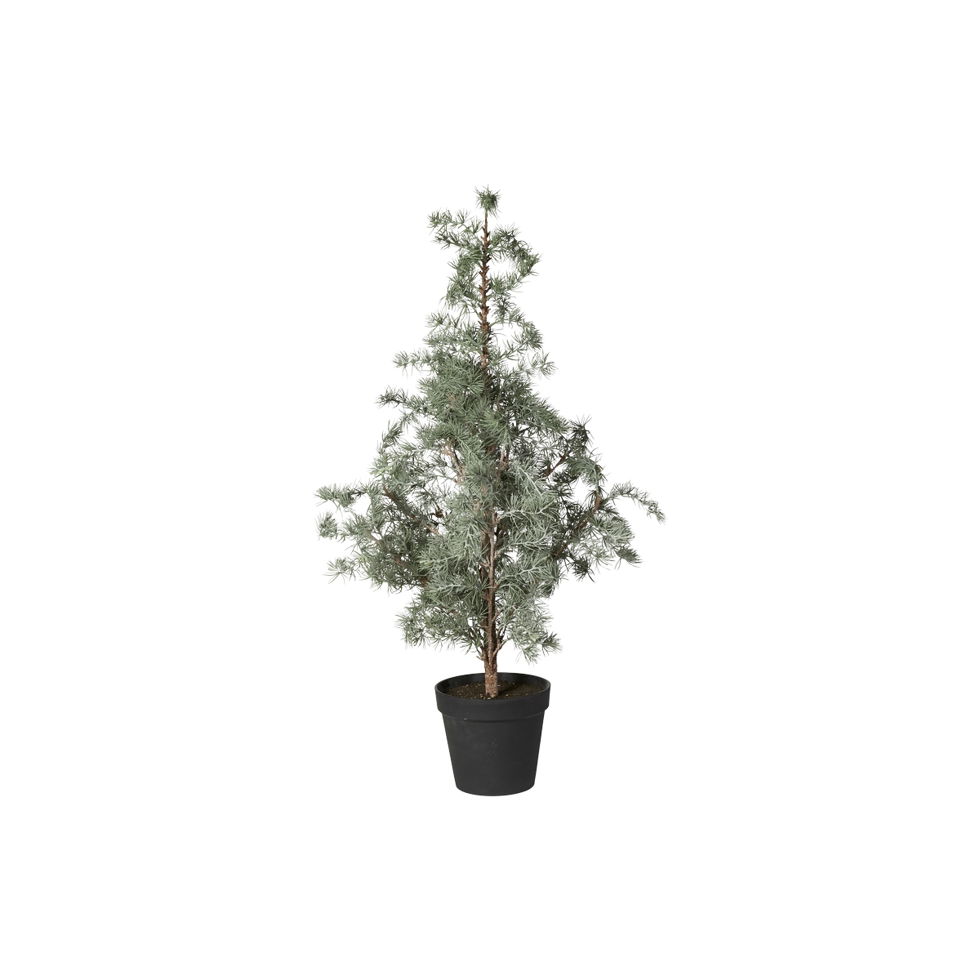 Zedernbume&Girlande - www.decofloral-shop.de