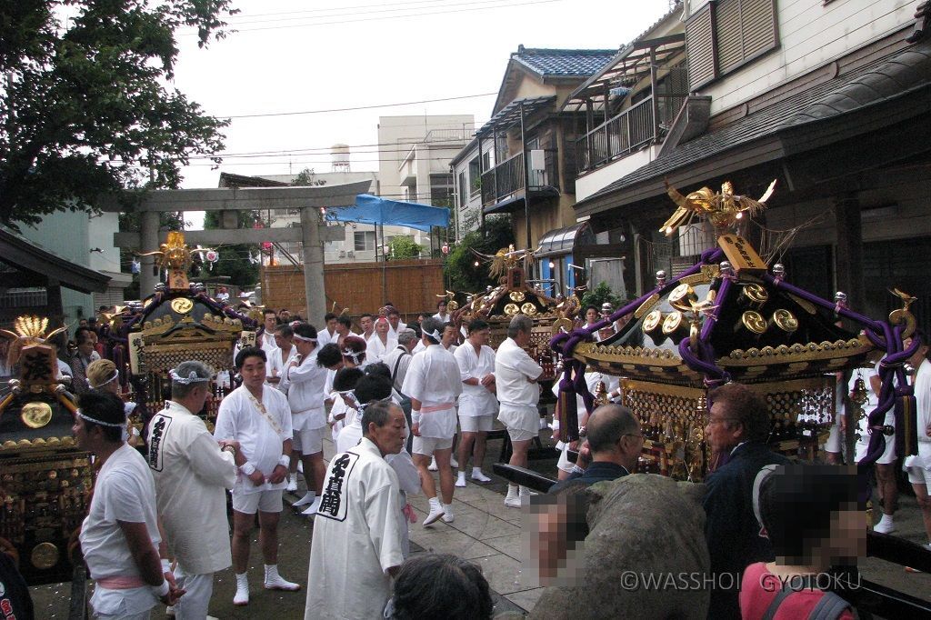 神社神輿のほか、各町会神輿も集結