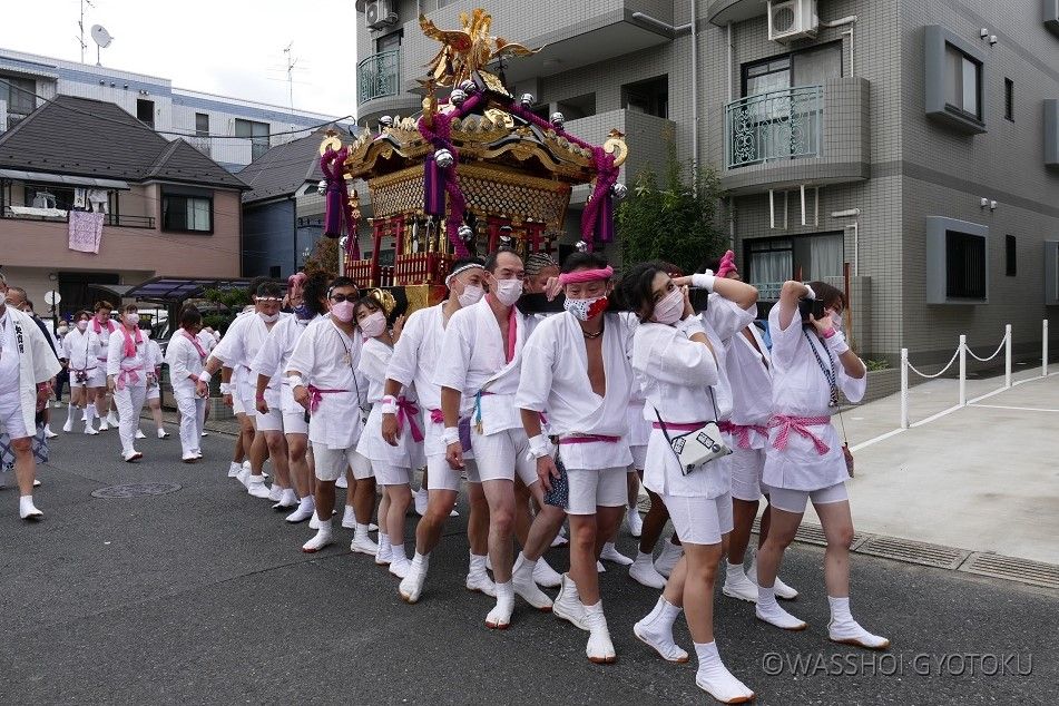 【欠真間 町会神輿】男女混合で担ぎます