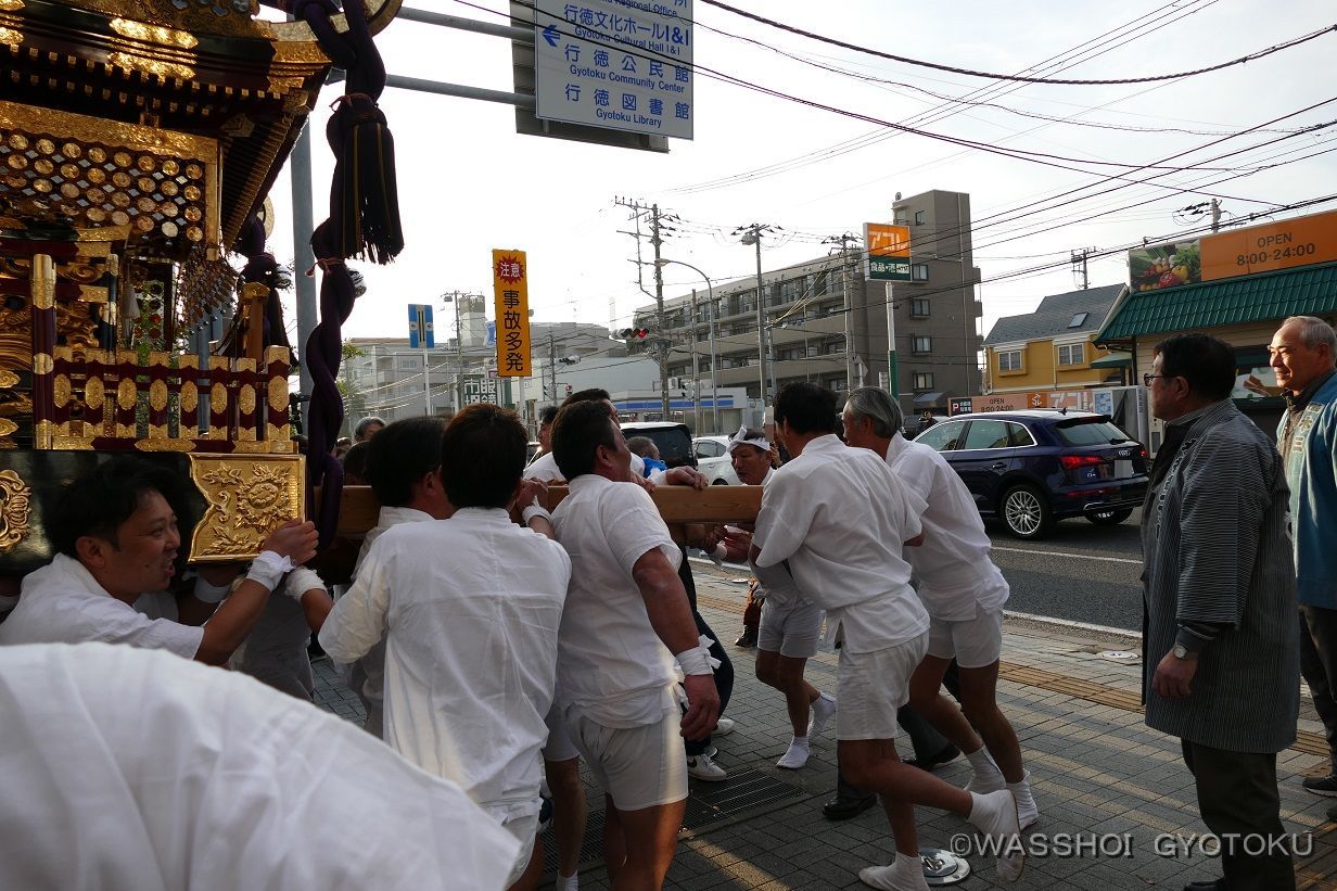 道路に出ようとする　お決まりのやんちゃ場面も