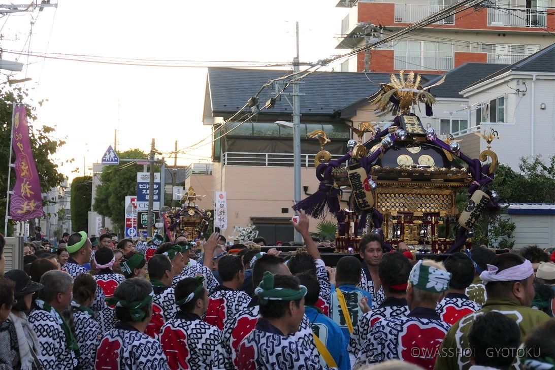 大神輿の後に中神輿が続きます