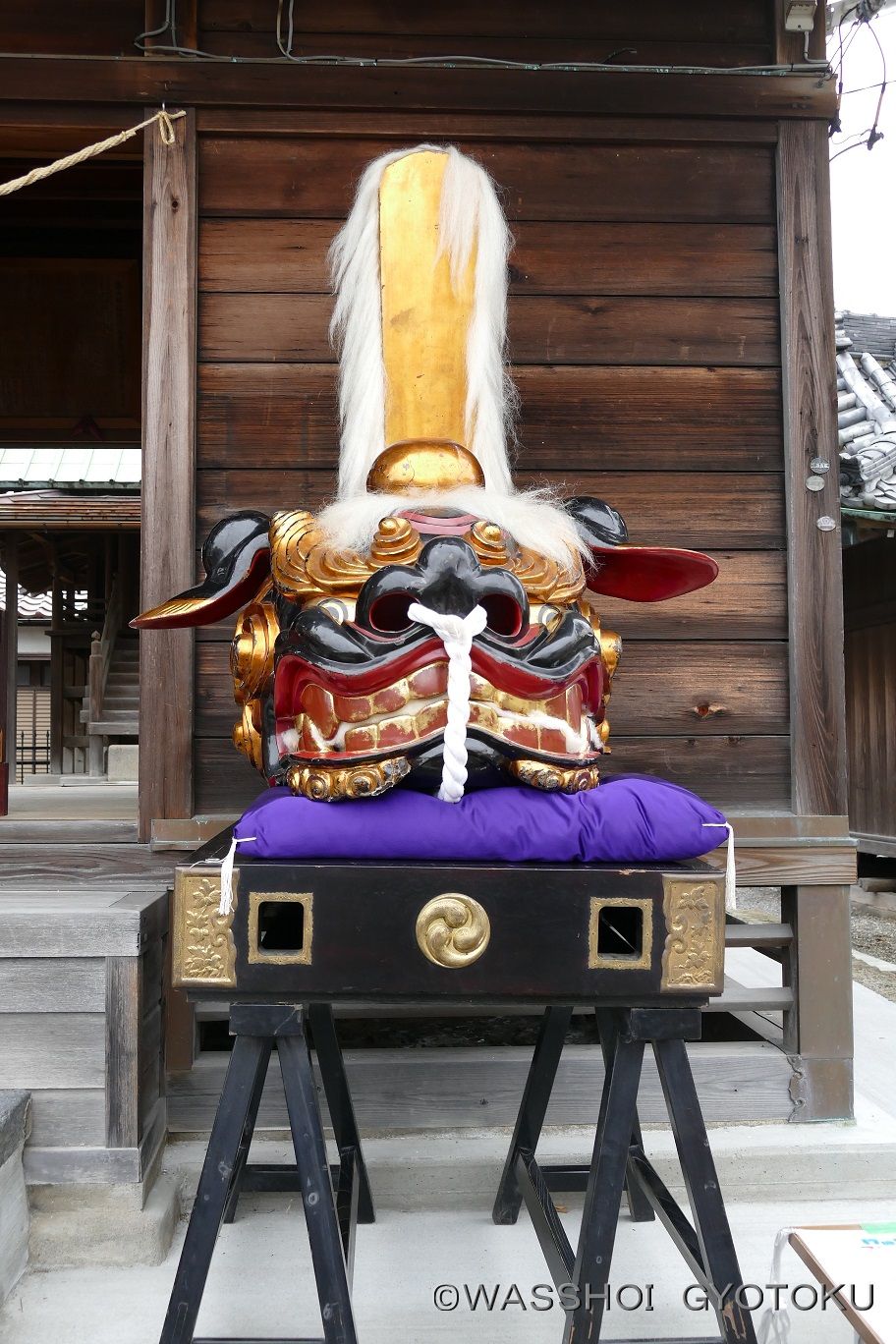 獅子頭（雌）