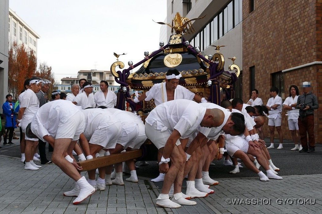 やっぱり魅せてくれます