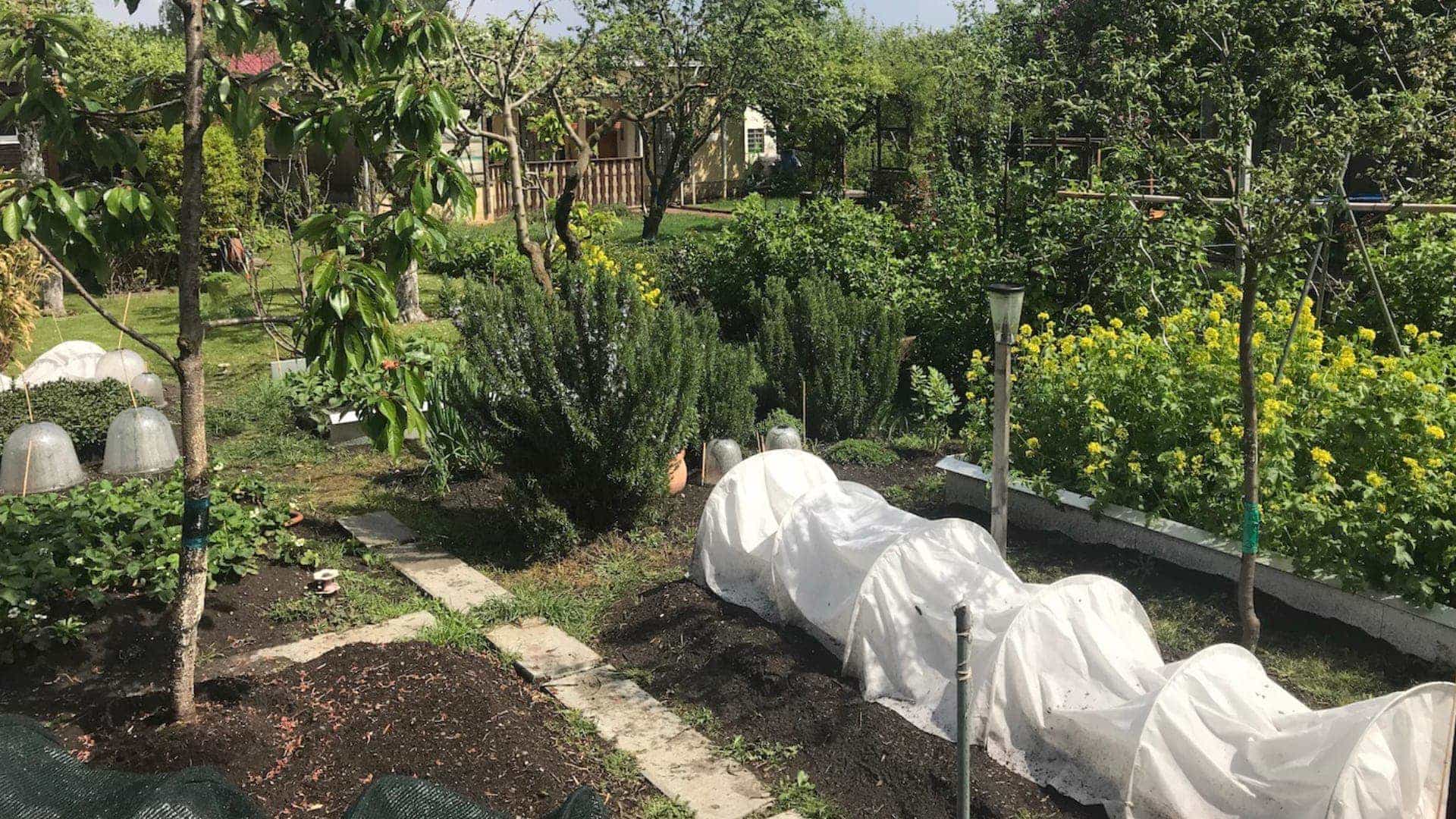 Garten A Z Kleingartenanlage Vogelsang II e.V.