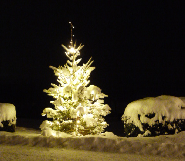 Tief verschneiter Weihnachtsbaum am Georgihof