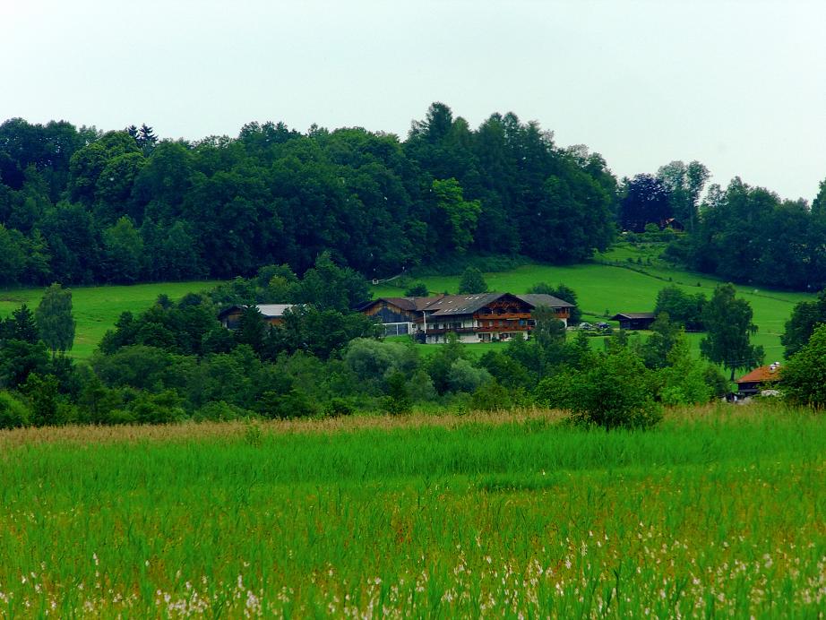 Der Georgihof vom Murnauer Moos aus gesehen