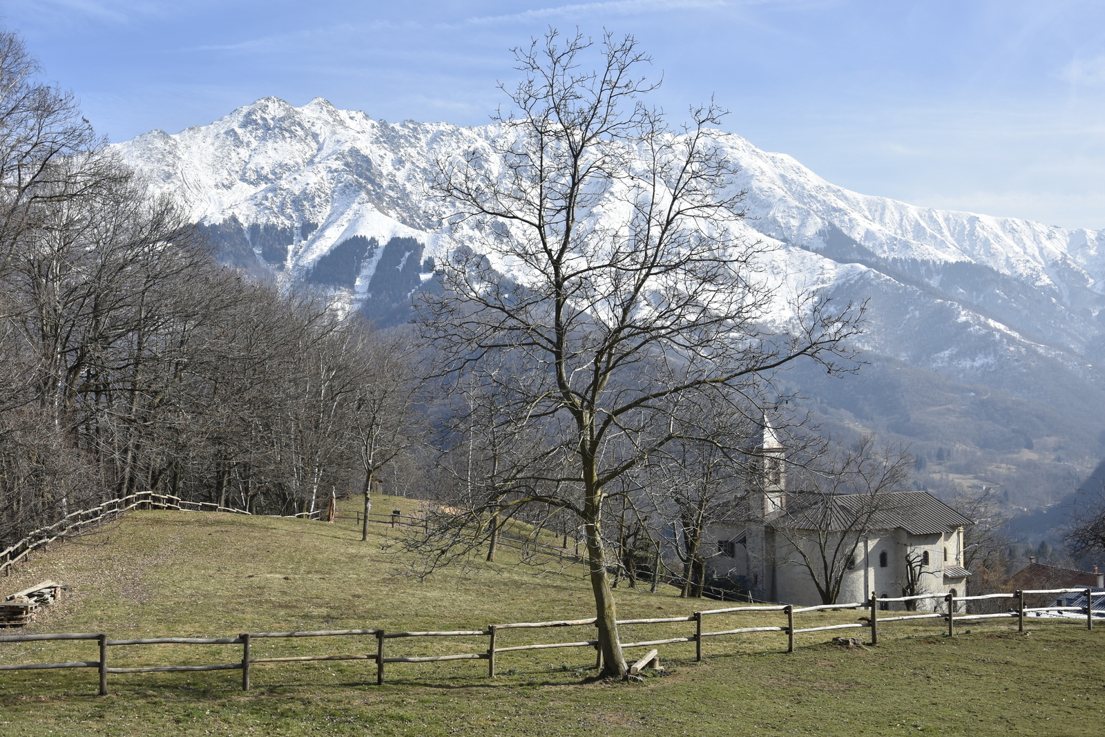 ERRICHIELLO LORENZA