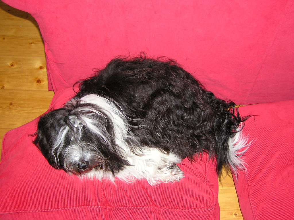 ....etwas relaxen