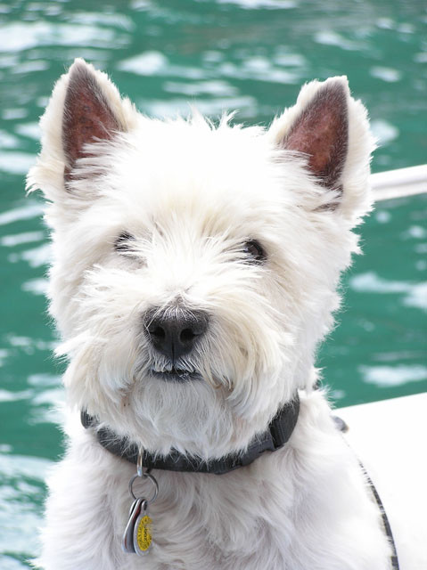 Nicky beim Schiffles fahren