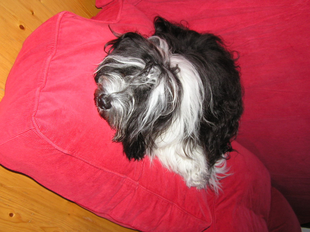 ....etwas faulenzen