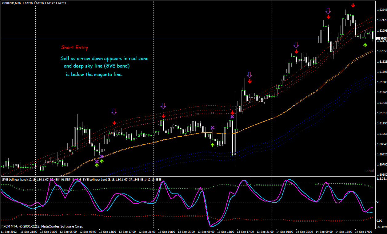 Binary Options Trading Signals Review Franco exposed! francos binary option trading signals to forex