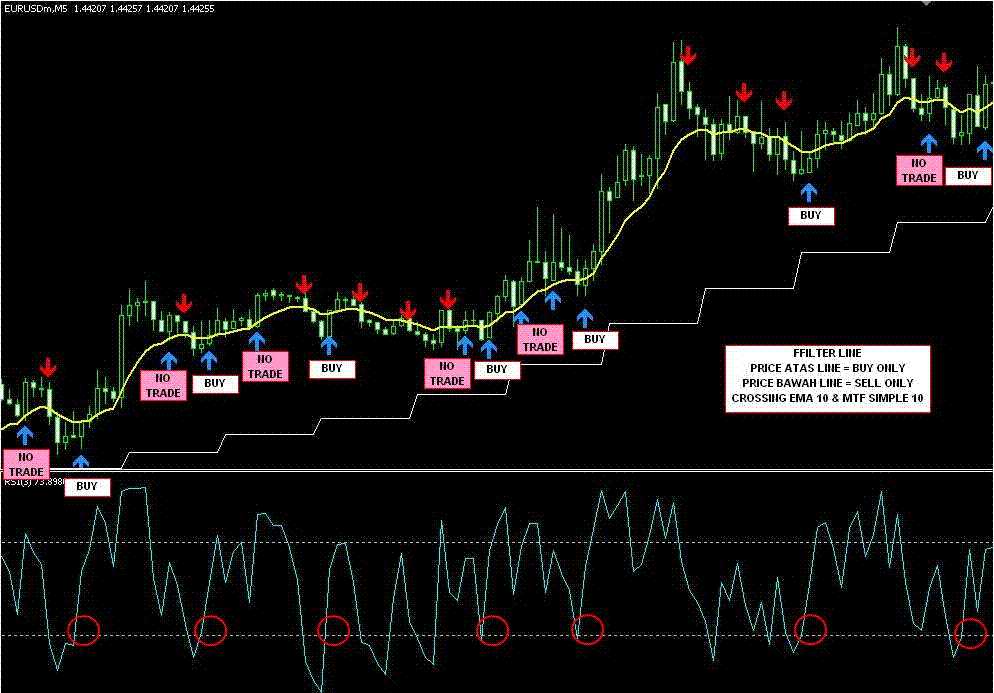 Forex newsletter reviews