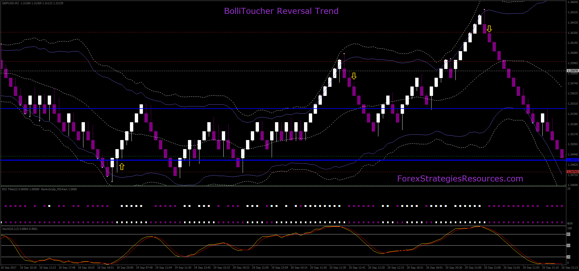 Kim eng forex