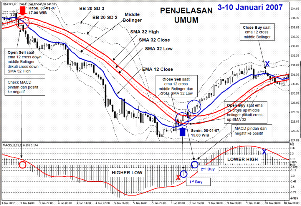 forex trading career path document