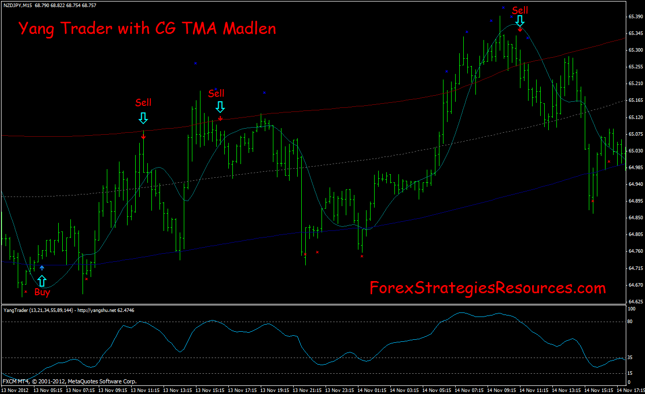Forex tma strategy