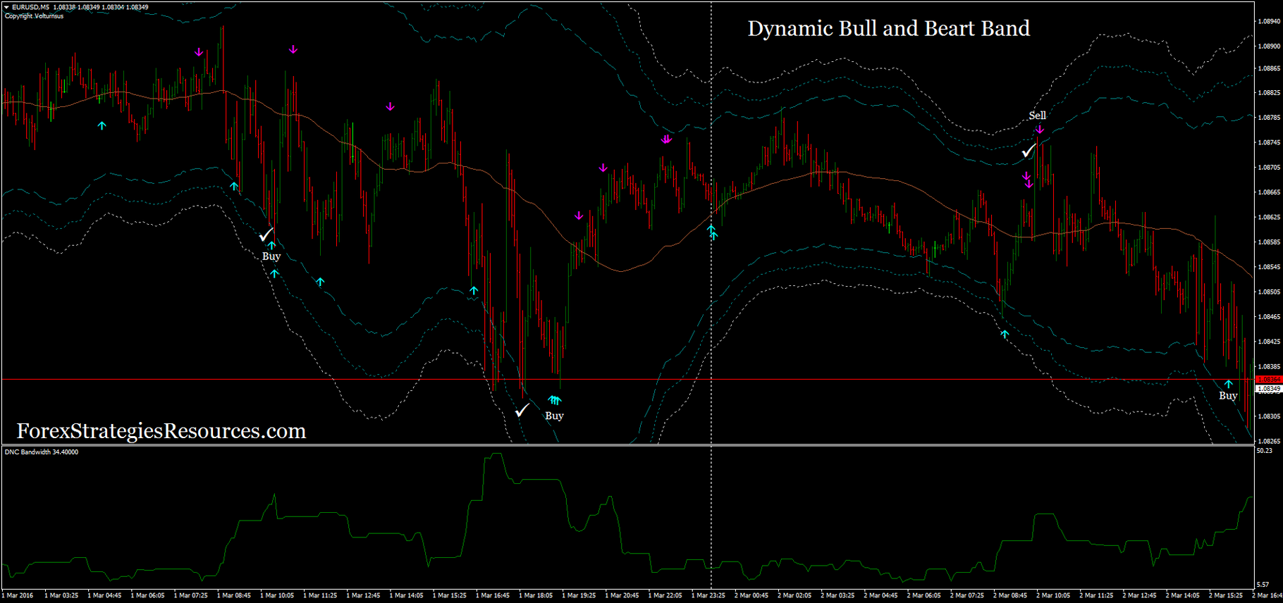 Dynamic rsi strategy
