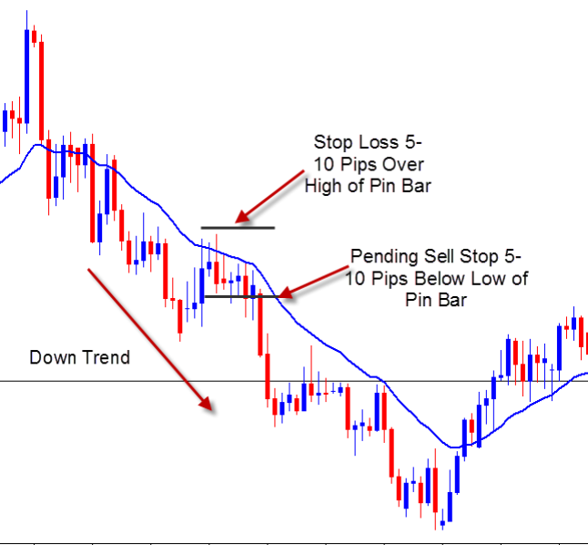 Pip Bar with moving average