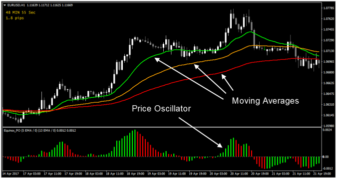 FX Money Bounce