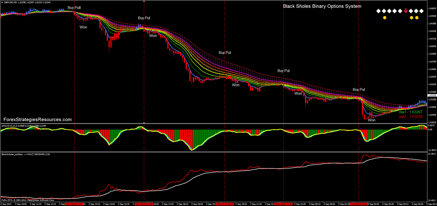 Binary options trading forecast