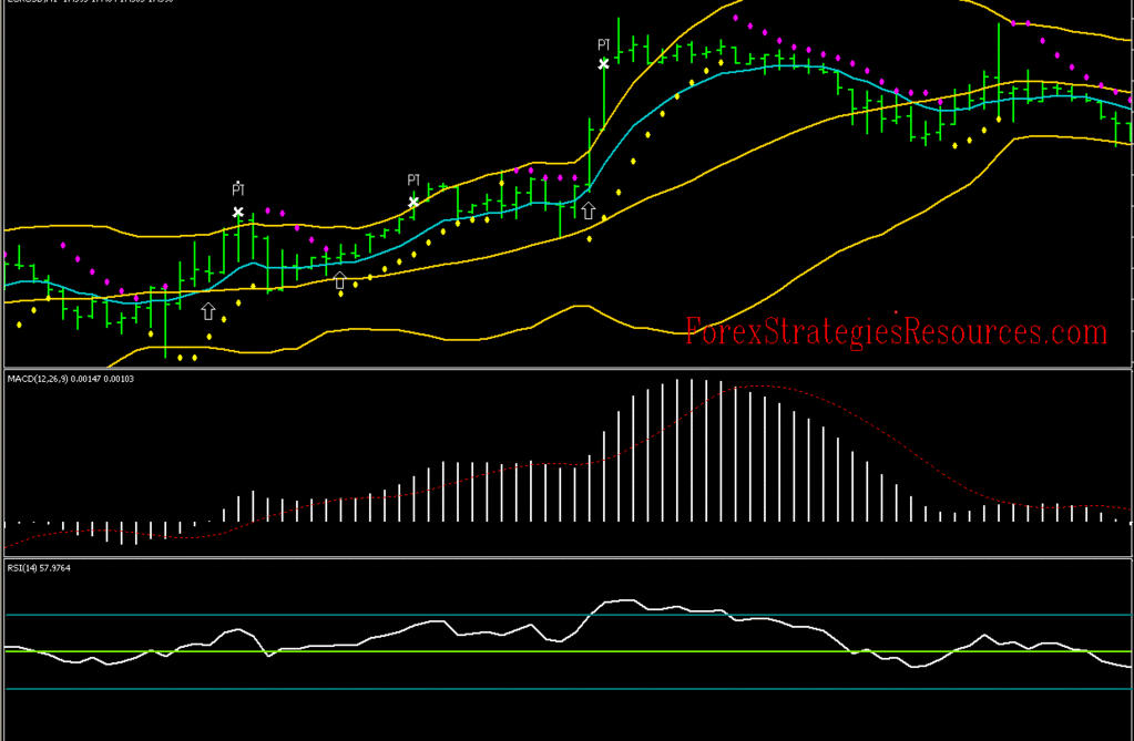 Forex scalping 1m 5m