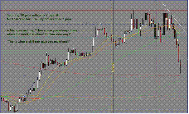 Niceguy Ridiculous 7 Pips Trading System Forex Strategies Forex - 