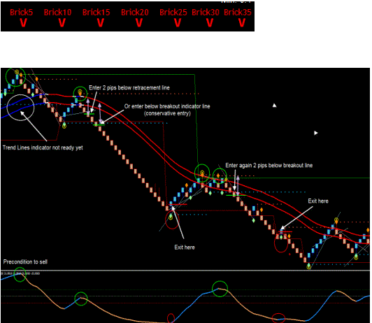 FR Renko Trading