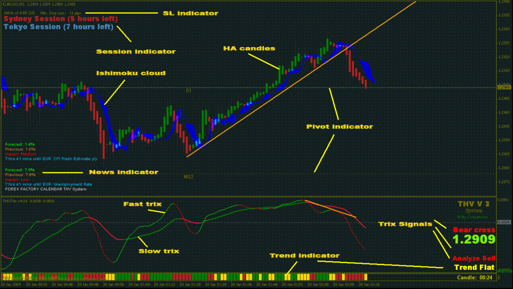 Thv system forex