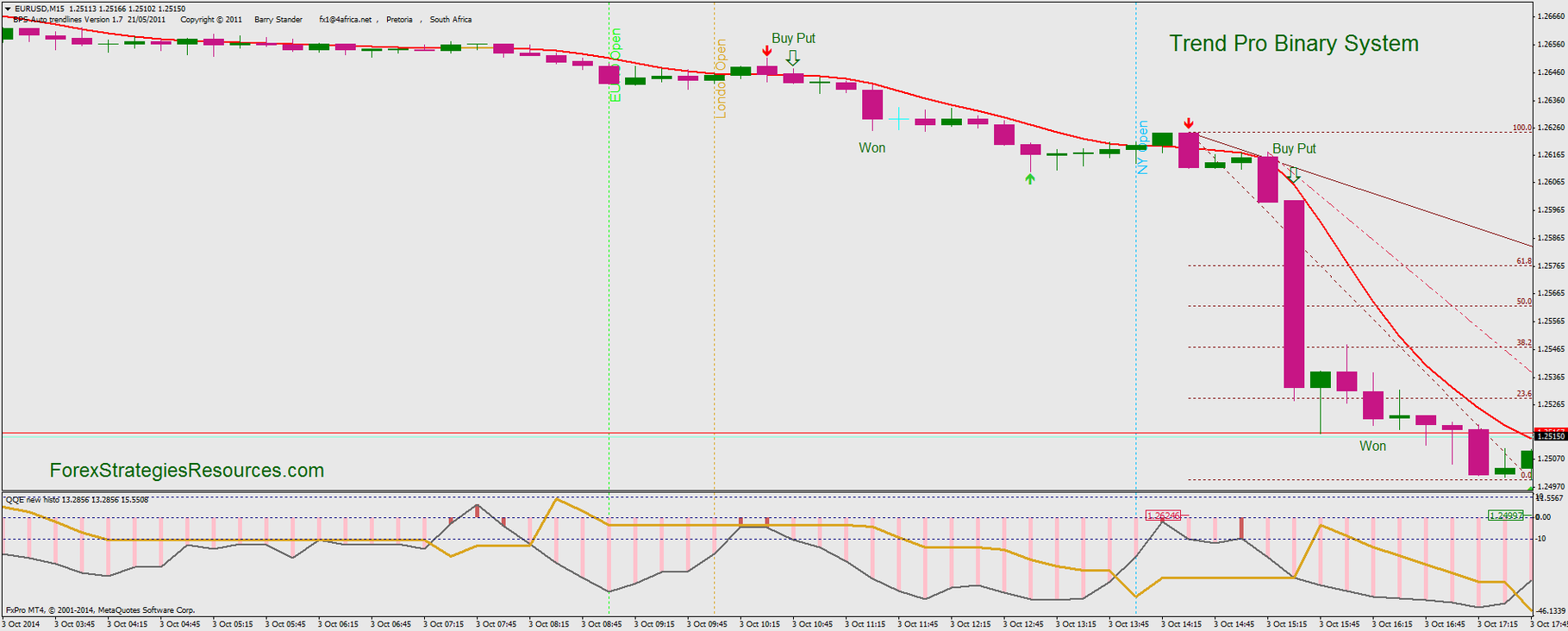 Bdb binary options