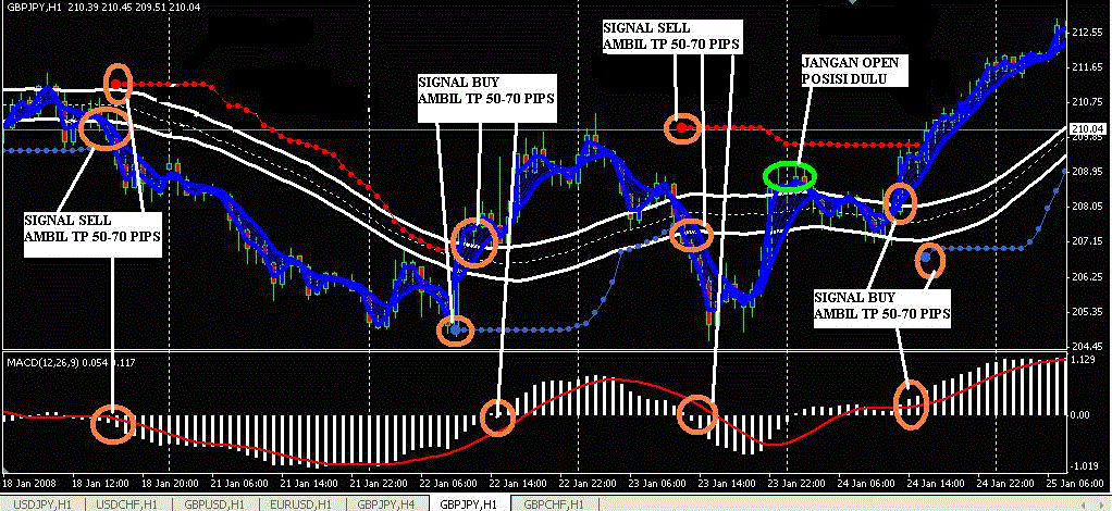 Forex freebie system