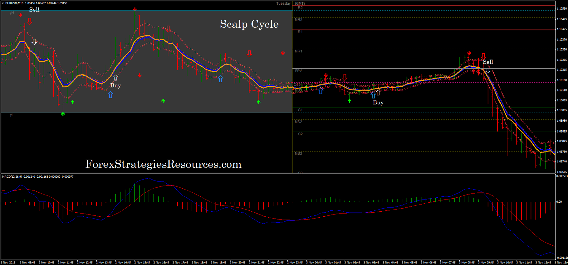Forex pet-d