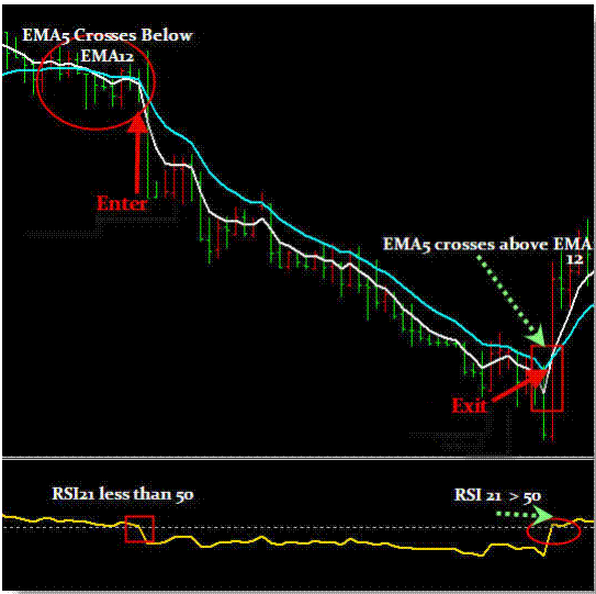 10 pip forex system