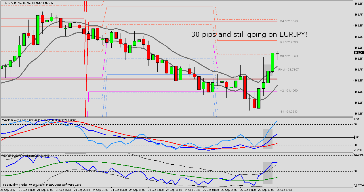 Forex Trading For Beginners Fxtm Global Forex Trading For Beginners Fxtm Global