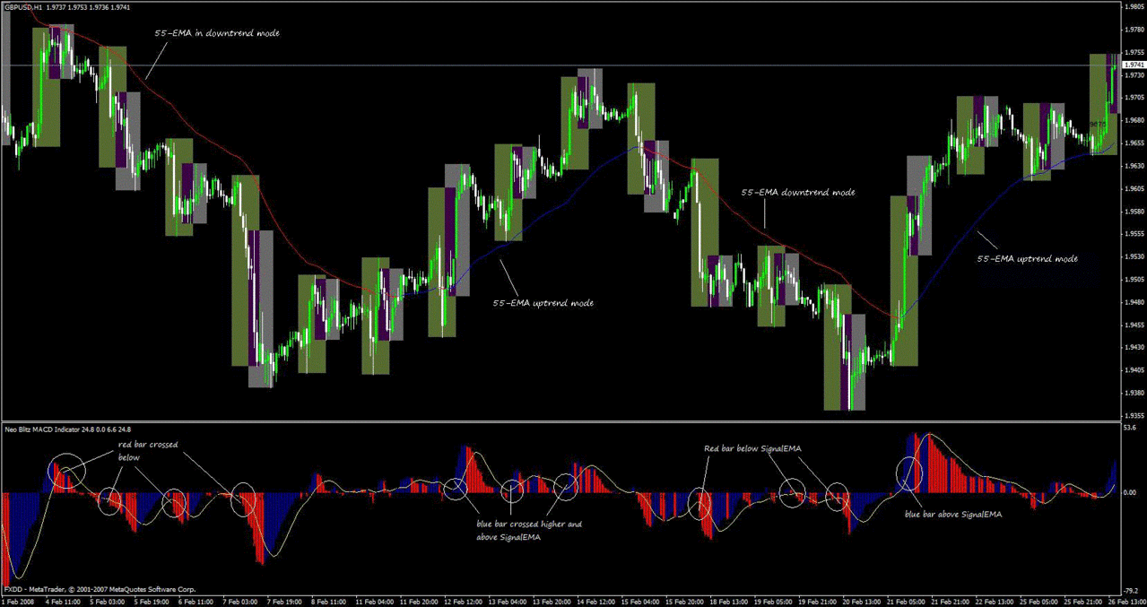 Free forex forecast