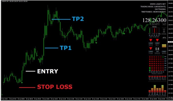 Luna Fx Trading System