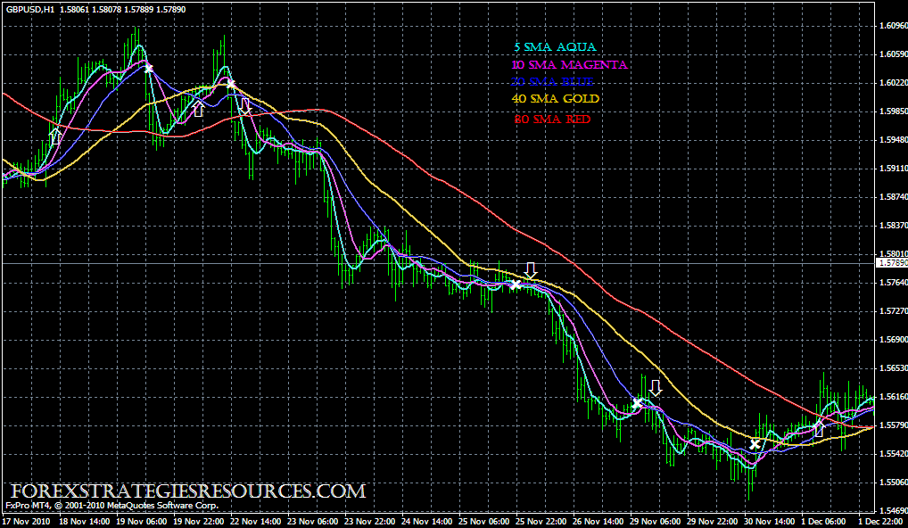 Ci system forex
