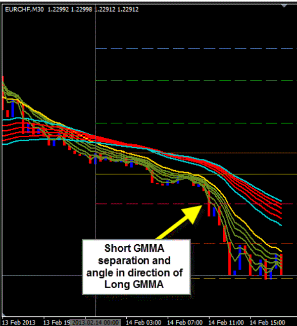 Guppy Multiple Mas System 