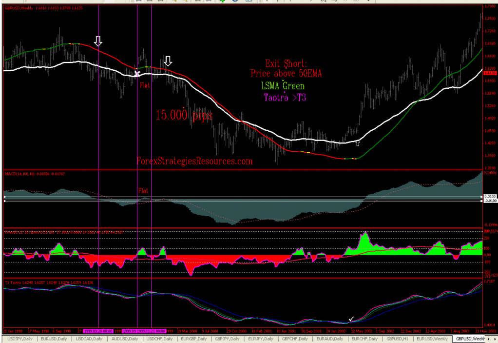 Trend Forecast