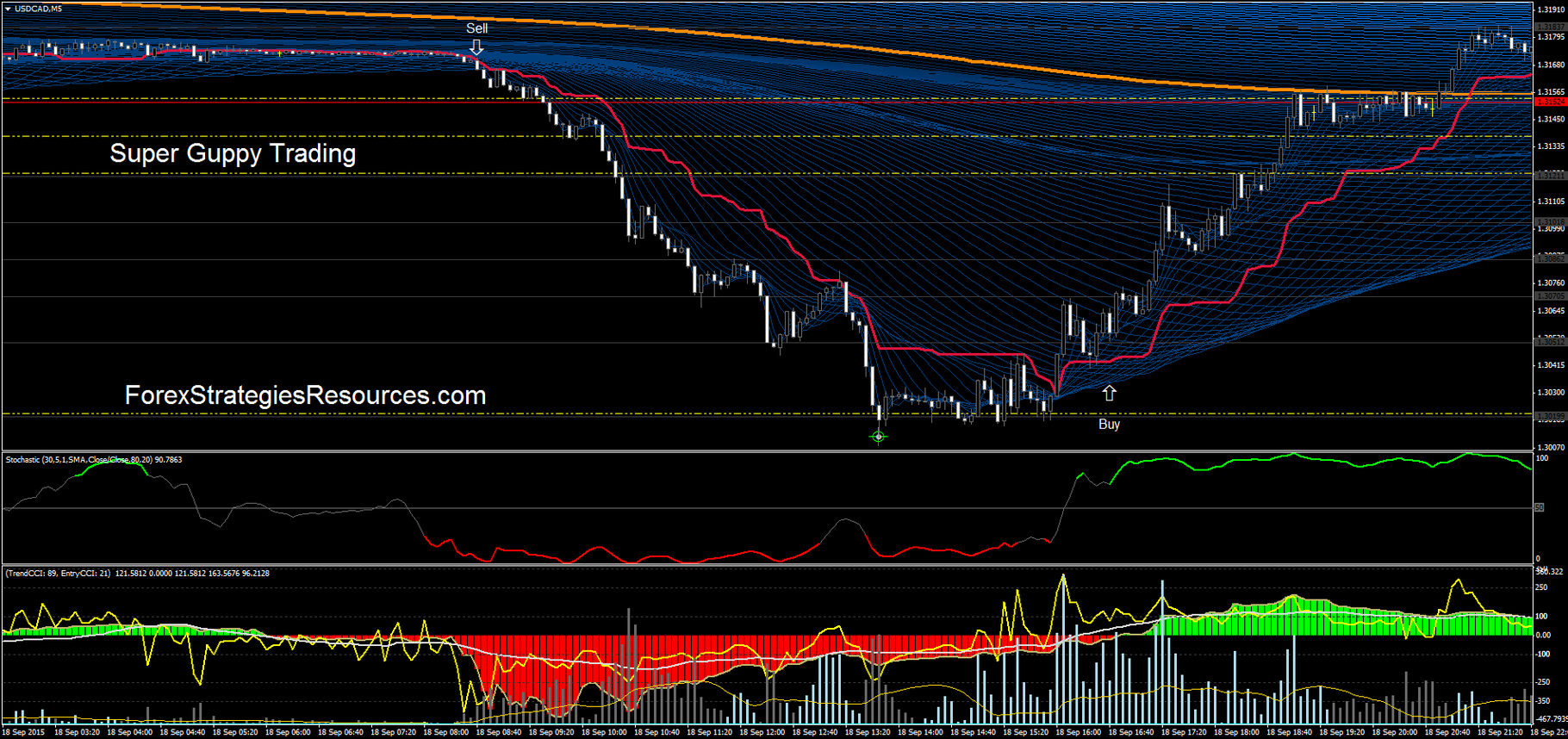 Guppy Fast Trend Forex Trading Strategy and System [9240]