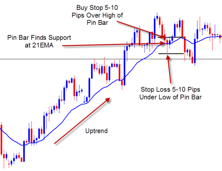 Pin Bar with moving average