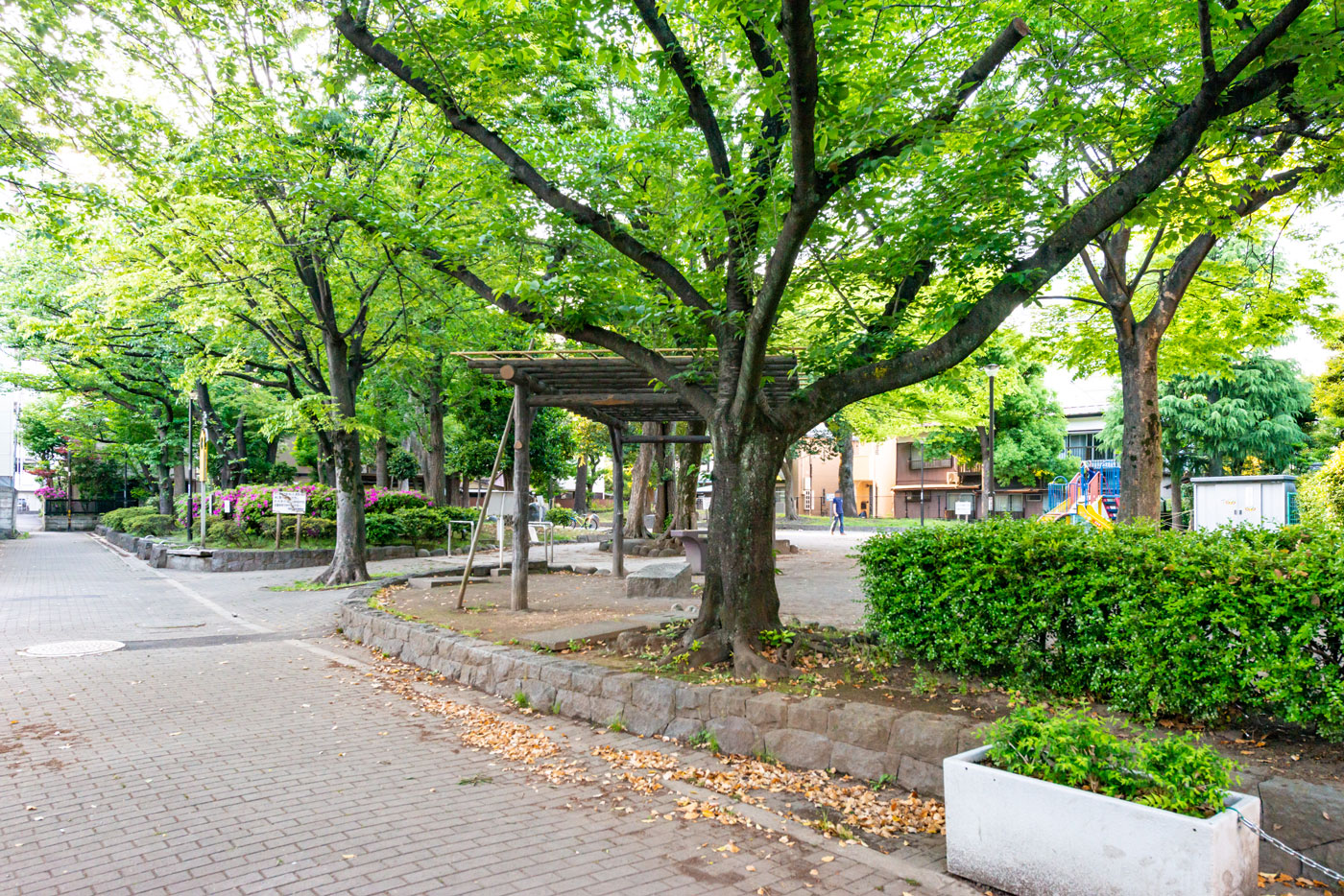 千住仲町公園（4m）