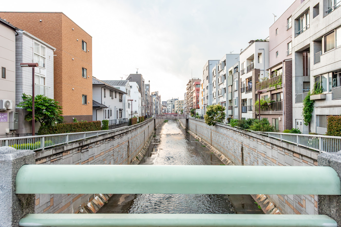桜橋（190m）